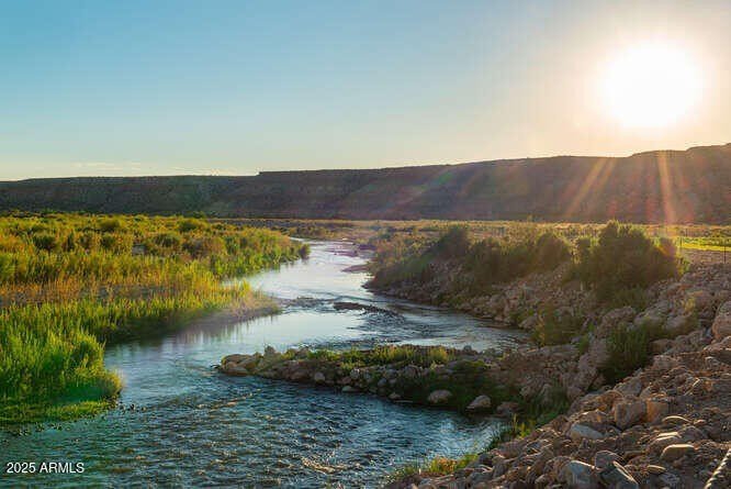 Homes for sale in Littlefield, Arizona