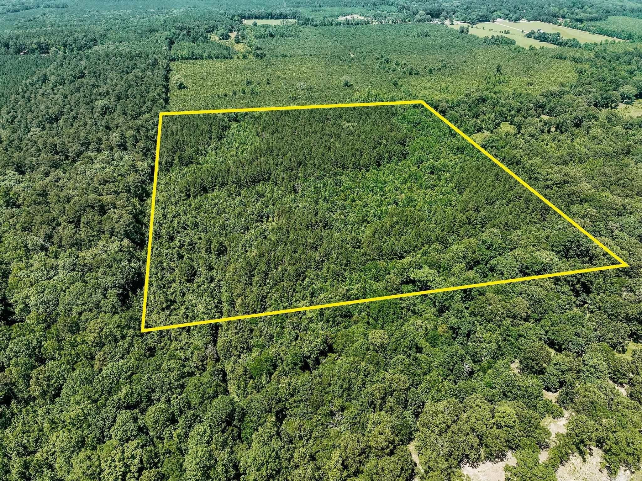 0000 Deal Road - Land for sale in Monticello, AR