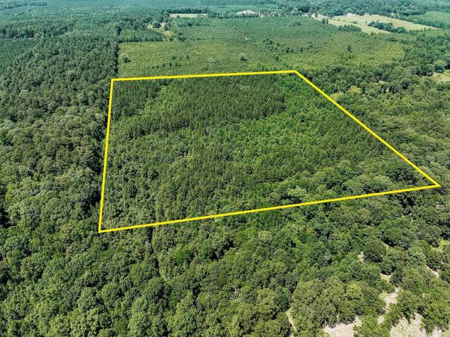 0000 Deal Road - Land for sale in Monticello, AR