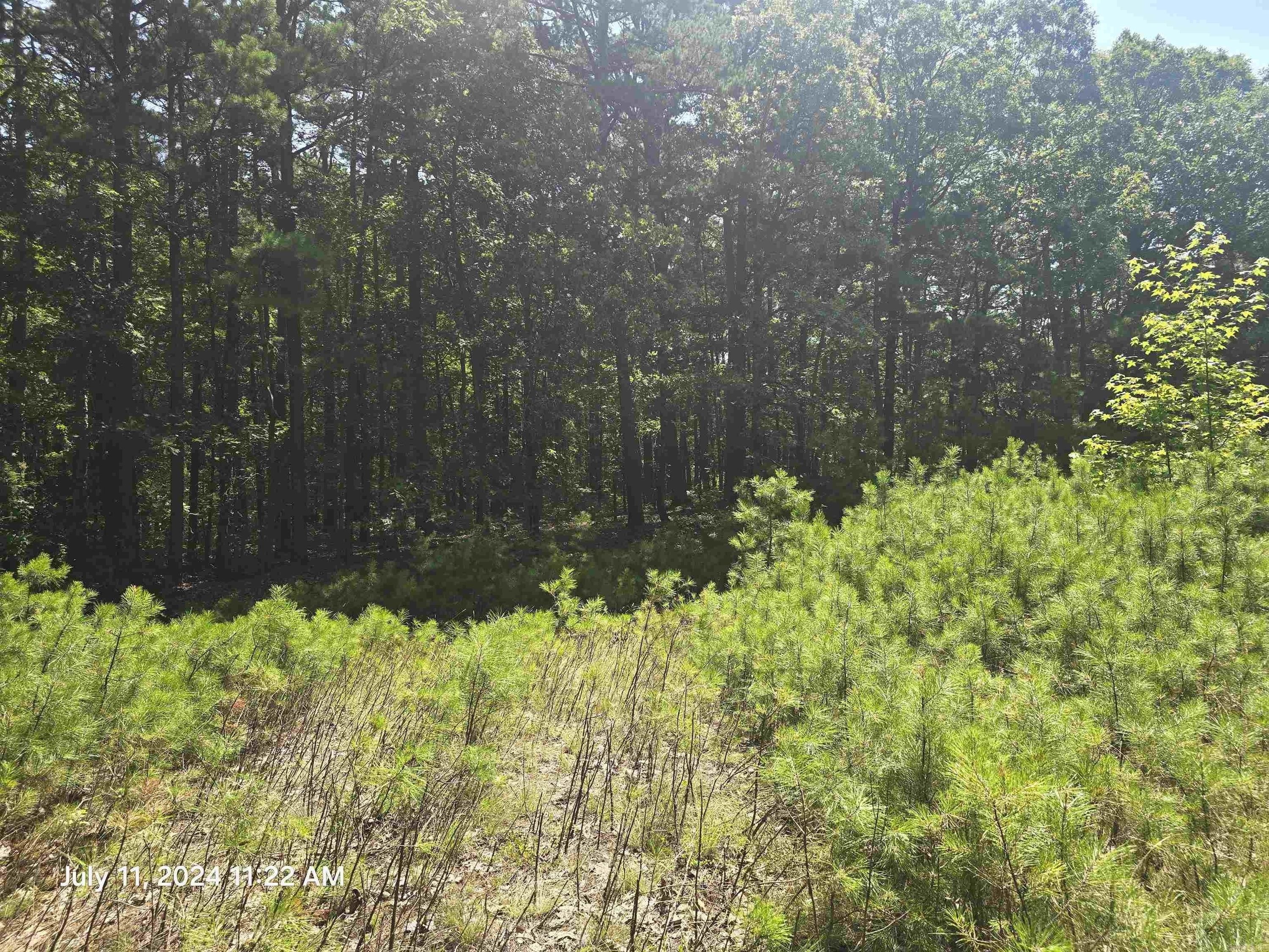 0 Sunnyvale Court - Land for sale in Fairfield Bay, AR