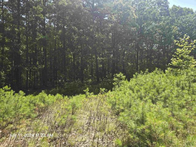 0 Sunnyvale Court - Land for sale in Fairfield Bay, AR
