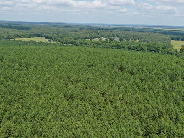 0 Goat Neck Road - Land for sale in Bradford, AR