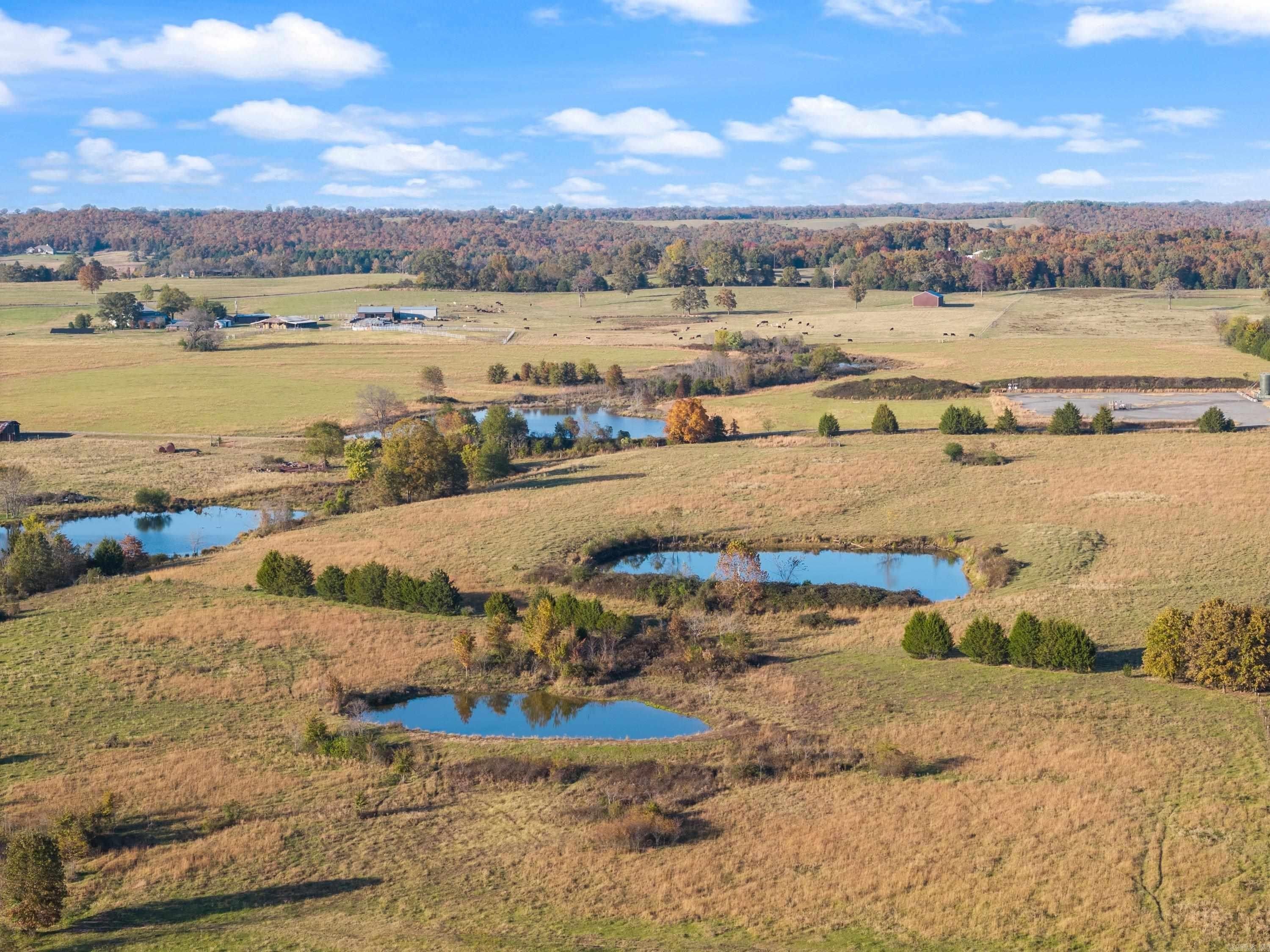 172 Blackfork Road - Land for sale in Greenbrier, AR