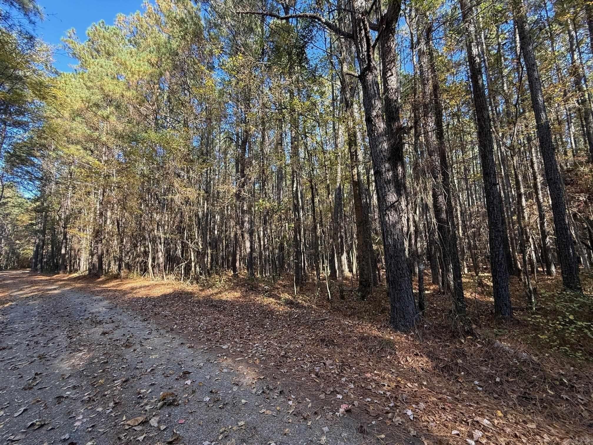000 Grant 4613 Road - Land for sale in Sheridan, AR
