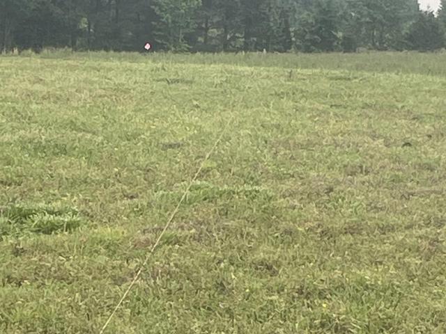 000 Crypress Lake - Home for sale in Beebe, AR