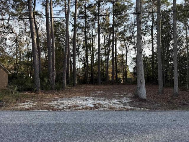 449 Byrnes Circle, Johnsonville, SC