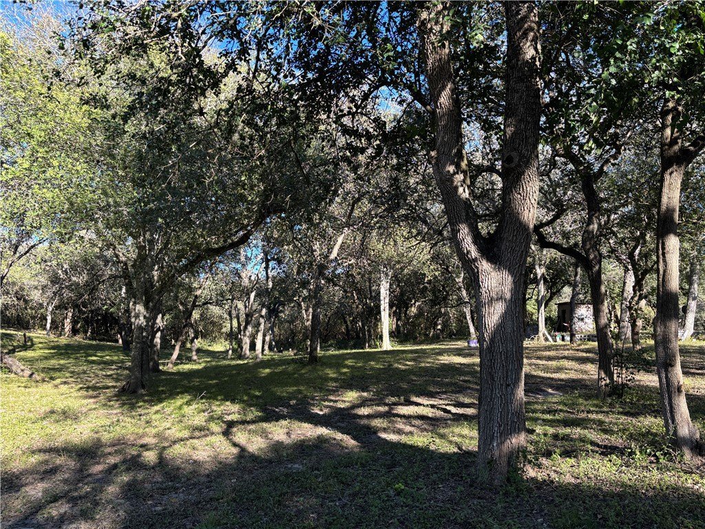 Homes for sale in Skidmore, Texas