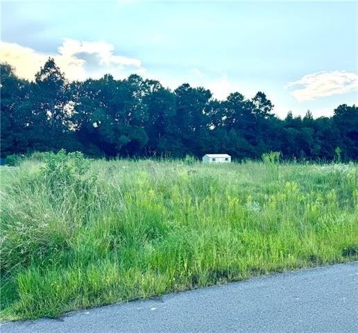 132 MEADOW Lane - Land for sale in Pollock, LA