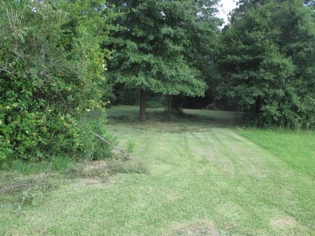 4306 HWY 28E Highway - Land for sale in Pineville, LA