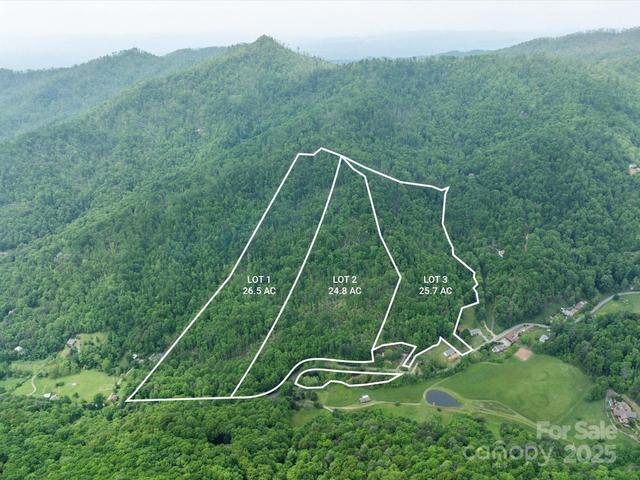 99999 Moody Cove Road unit: 1, Weaverville, NC