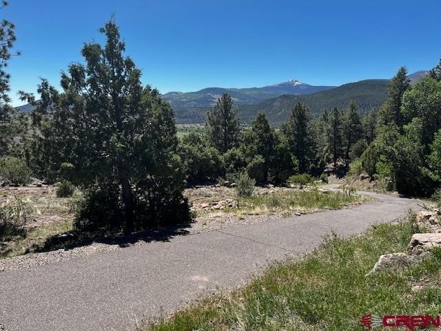 0 Ellingwood Drive - Land for sale in South Fork, CO