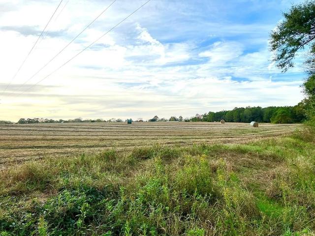 0 COUNTY ROAD 13 - Land for sale in Headland, AL