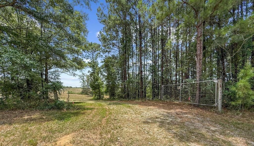 4154 Hwy 131 - Home for sale in Clayton, AL