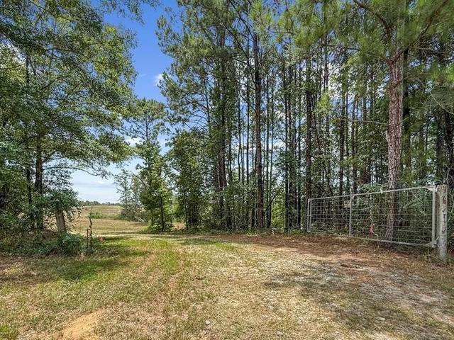 4154 Hwy 131 - Home for sale in Clayton, AL