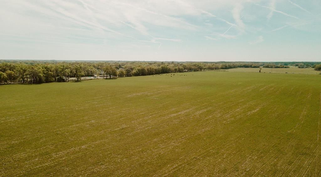 000 180th Ave - Land for sale in Dunnellon, FL