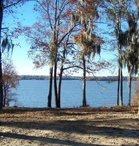 0 Lots 2, 3, 4 Point Drive - Land for sale in Georgetown, GA