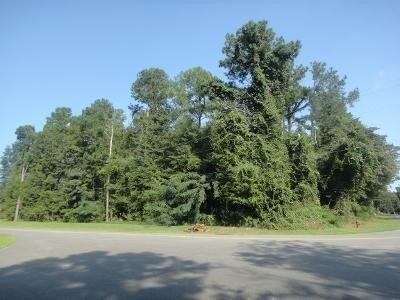 0 Woodlawn Drive - Land for sale in Eufaula, AL