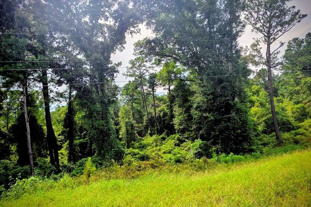 0 COUNTY RD 99 - Land for sale in Newville, AL