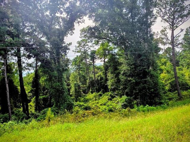 0 COUNTY RD 99 - Land for sale in Newville, AL