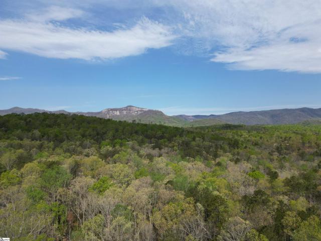 0 Pumpkintown Hwy 8 - Land for sale in Pickens, SC