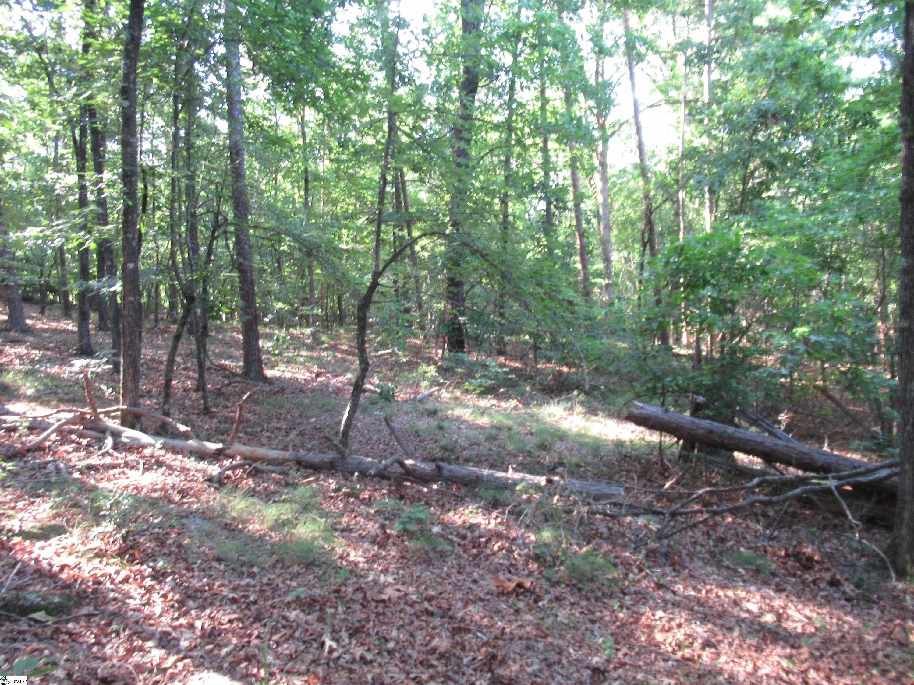 00 Murphy Road - Land for sale in Sunset, SC