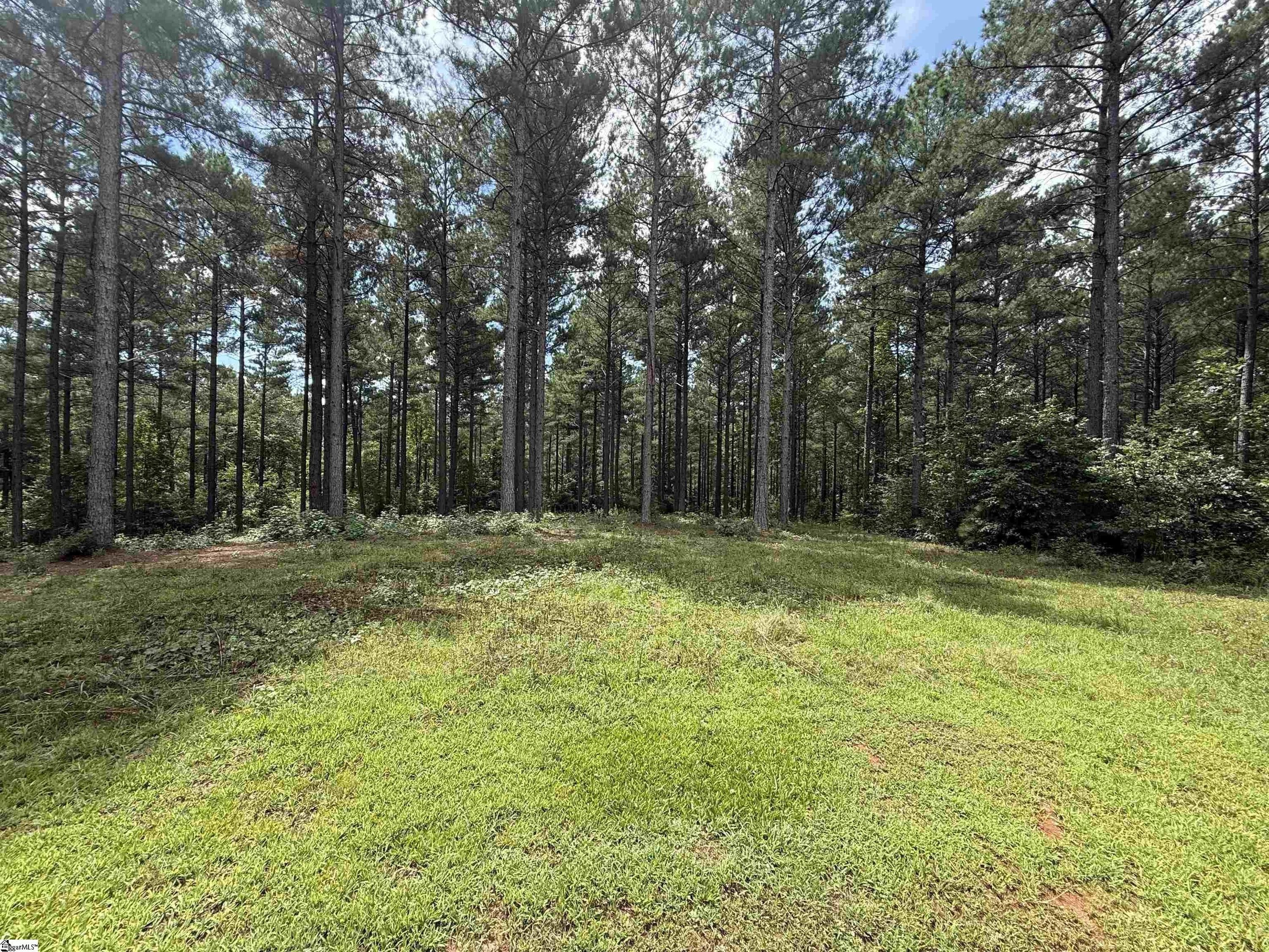 0 High Pines Drive - Land for sale in Salem, SC