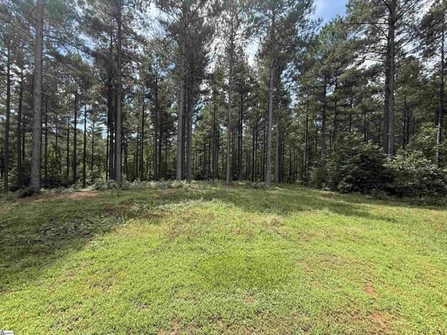 0 High Pines Drive - Land for sale in Salem, SC