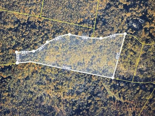 0 Highway 11 - Land for sale in Landrum, SC