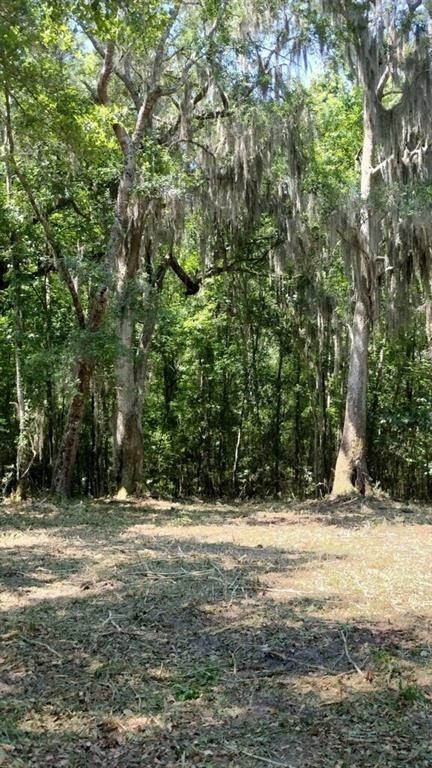 0 Briar Patch Place - Land for sale in Townsend, GA