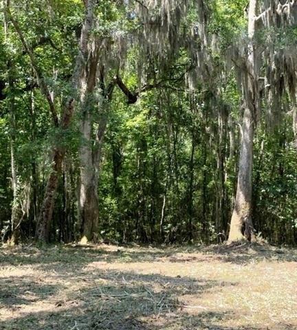 0 Briar Patch Place - Land for sale in Townsend, GA