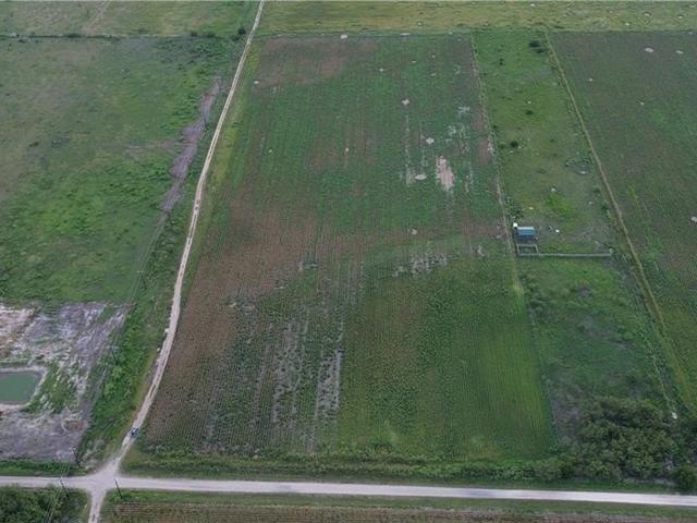 0 Filegonia Road - Land for sale in Edcouch, TX