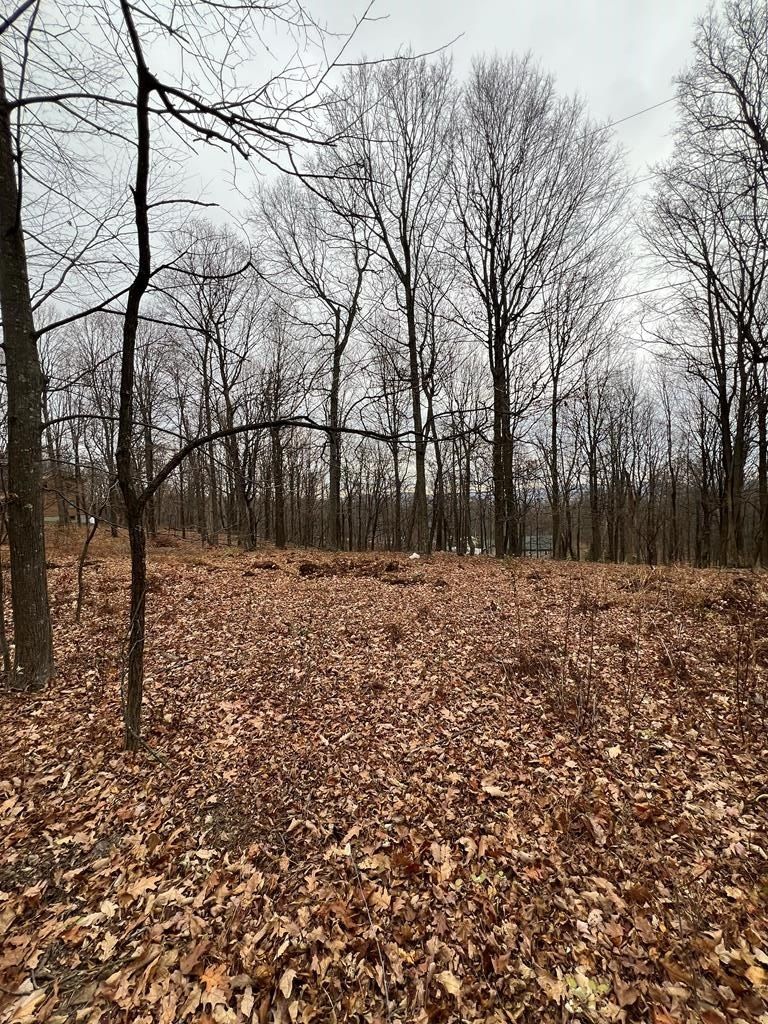 0 Todd Pass - Land for sale in James Creek, PA