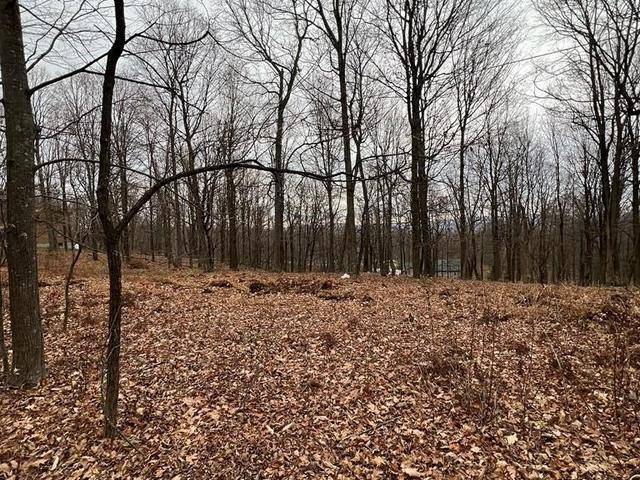0 Todd Pass - Land for sale in James Creek, PA