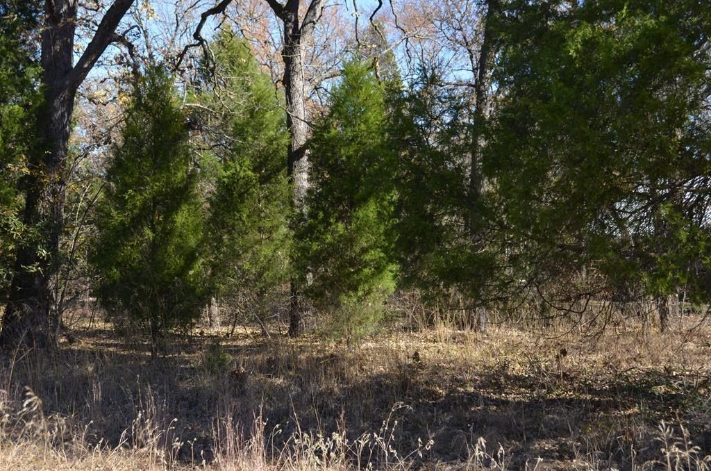 0 Boca Chica - Land for sale in Malakoff, TX