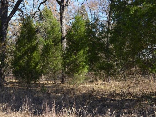0 Boca Chica - Land for sale in Malakoff, TX