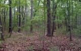 00 Lady Lane - Land for sale in MURPHY, NC