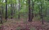 00 Lady Lane - Land for sale in MURPHY, NC