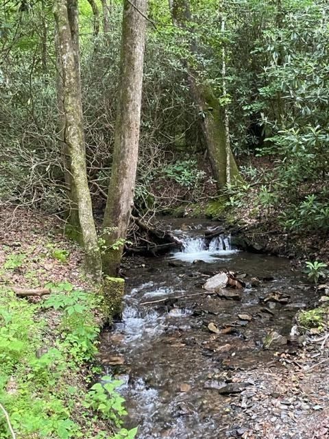 000 Chestnut Oaks - Land for sale in ANDREWS, NC
