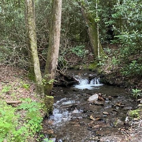 000 Chestnut Oaks - Land for sale in ANDREWS, NC