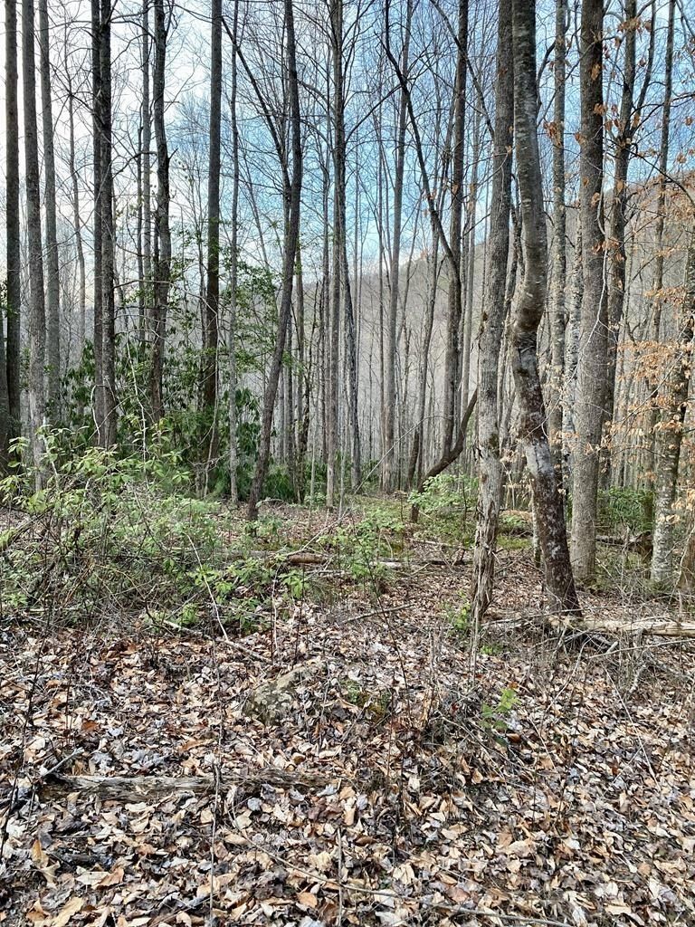 00 Carringer Road Lot 1,15 - Land for sale in ROBBINSVILLE, NC