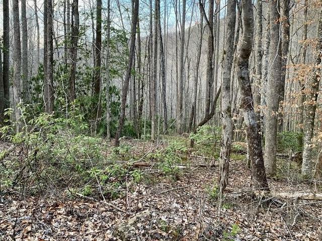 00 Carringer Road Lot 1,15 - Land for sale in ROBBINSVILLE, NC