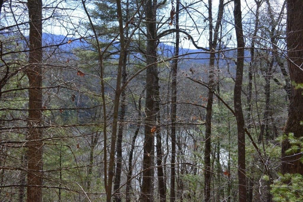 00 Chestnut Ridge - Land for sale in ROBBINSVILLE, NC