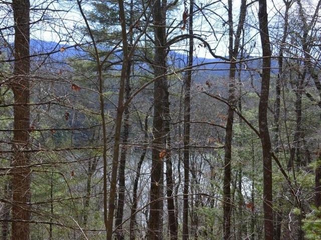 00 Chestnut Ridge - Land for sale in ROBBINSVILLE, NC