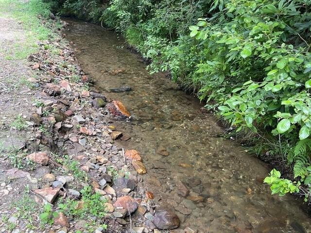 00 West Road - Land for sale in ANDREWS, NC