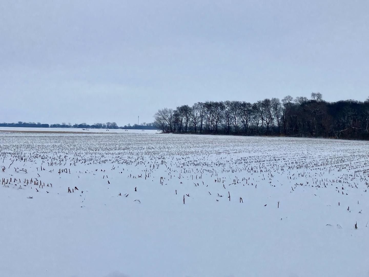 0 E 2nd Street - Land for sale in Tampico, IL