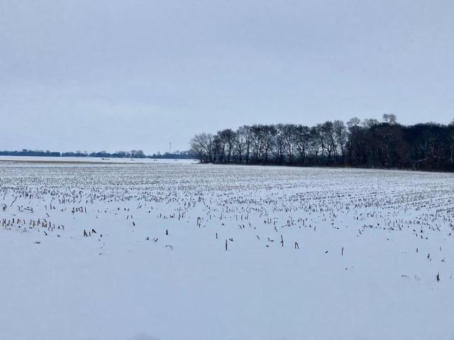 0 E 2nd Street - Land for sale in Tampico, IL