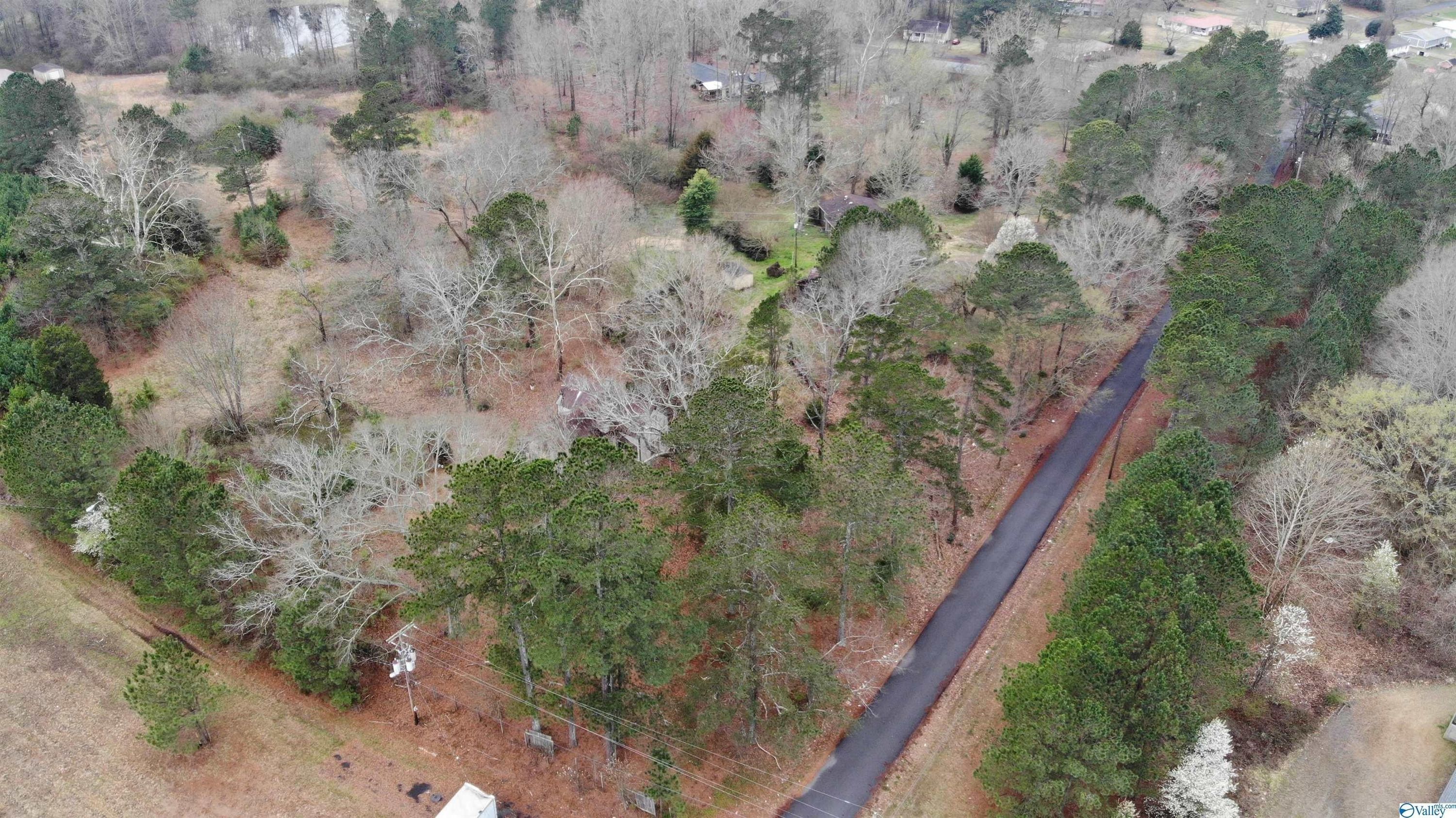 0 J W Darnell Avenue - Commercial for sale in Guntersville, AL