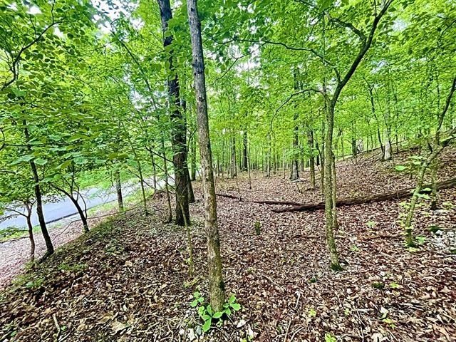 8128 W Clear Creek Road - Home for sale in Kansas, OK