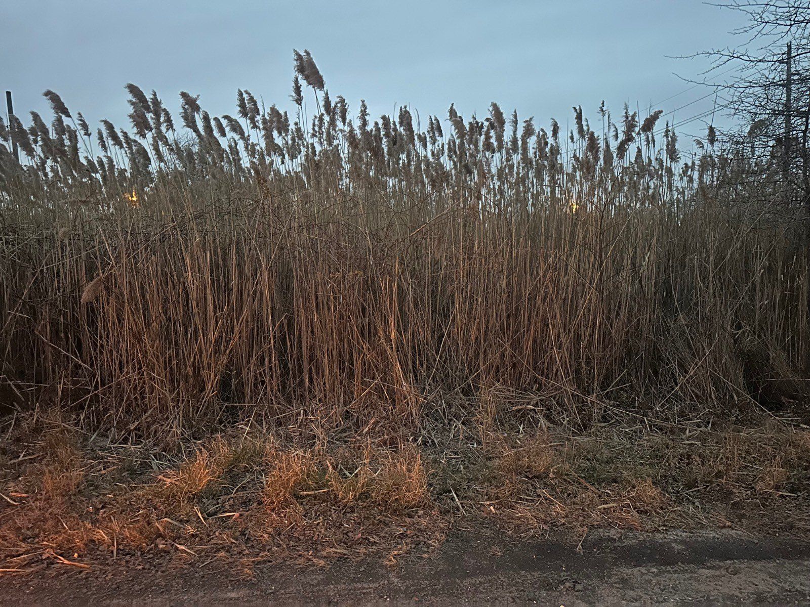 0 Mantoloking Rd. - Land for sale in Brick, NJ