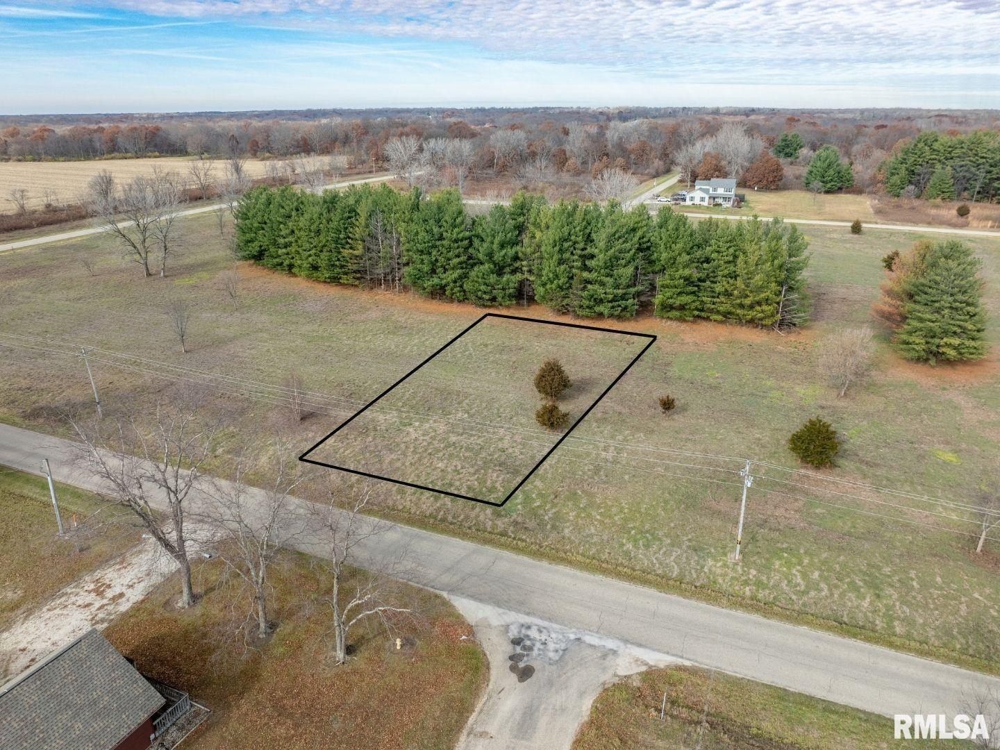 247 S LAKEVIEW Road - Land for sale in Dahinda, IL